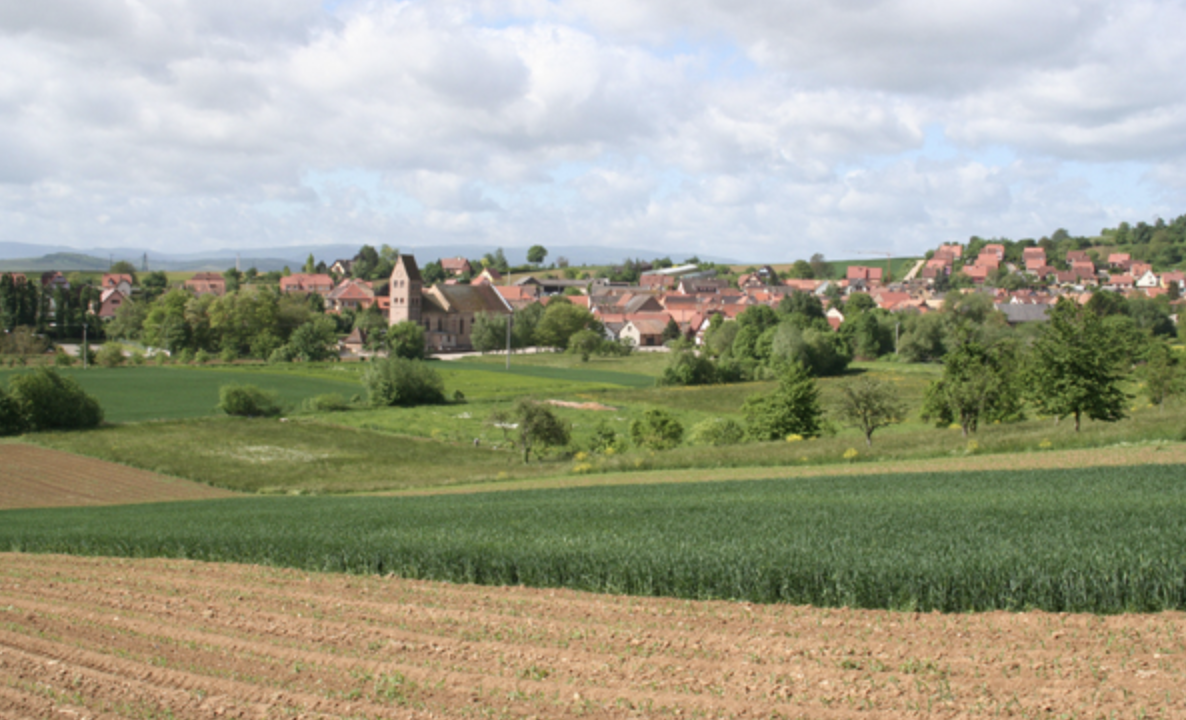 L'Écrin des Vignes - Alsace - Kochersberg - piscine privée intérieure chauffée - Calme et nature